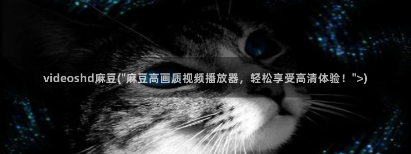 麻豆专区：videoshd麻豆(\