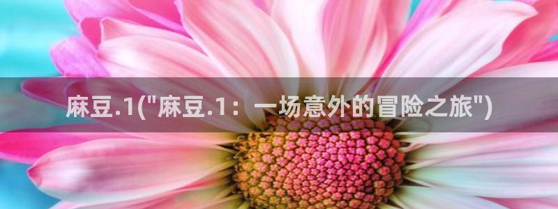 伊人久麻豆社区：麻豆.1(\