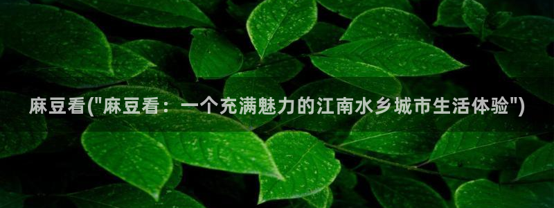 麻豆.com：麻豆看(\