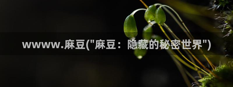 麻豆社区：wwww.麻豆(\