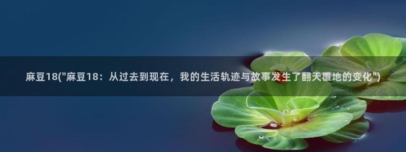 国产麻豆专区：麻豆18(\