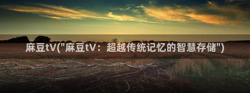 91麻豆国产专区在线观看