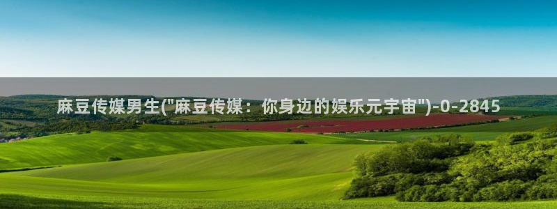 sepapa麻豆专区：麻豆传媒男生(\