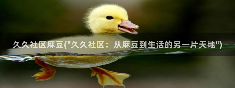 麻豆专区一区：久久社区麻豆(\