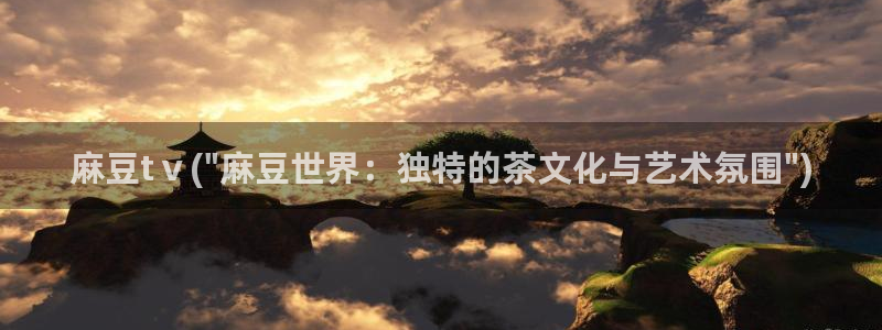 中文麻豆专区：麻豆tⅴ(\